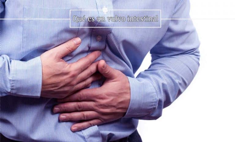 que-es-un-vulvo-intestinal