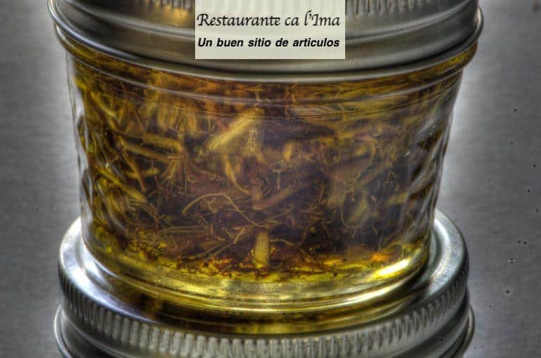 ¿Para que es buena la infusión de hinojo?