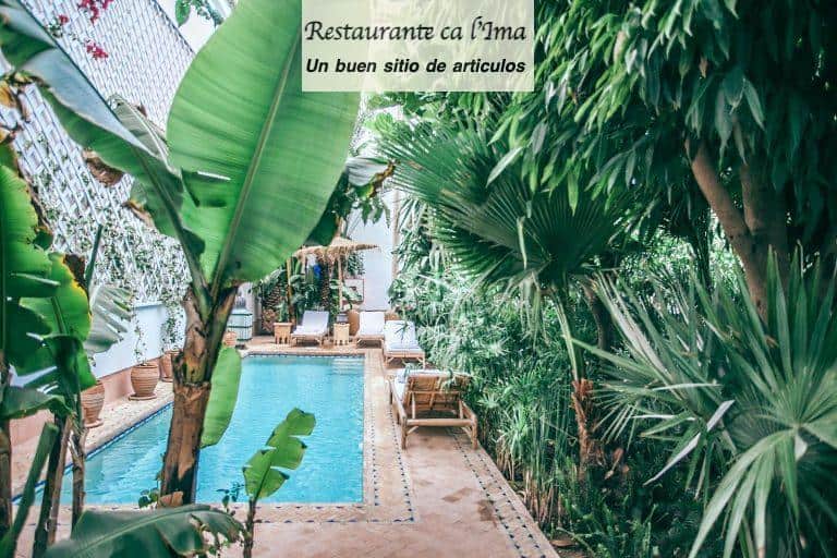 jardineria en hoteles